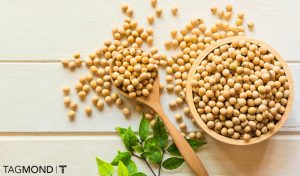 تاثیر سویا در سلامت و زیبایی