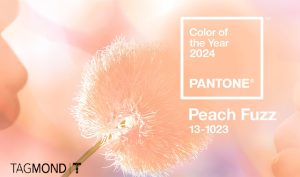 رنگ سال 2024