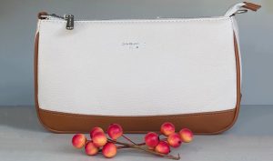 کیف دیوید جونز