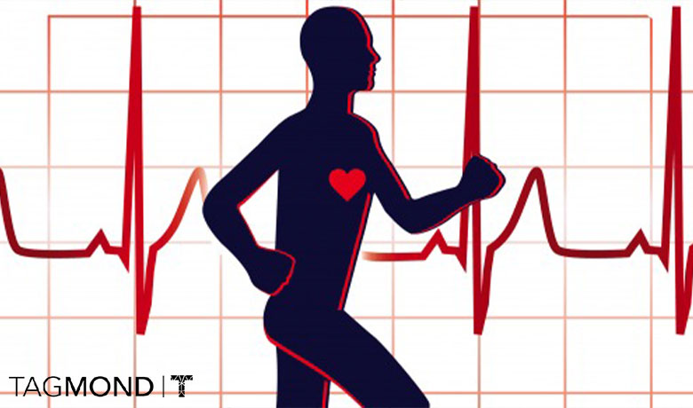 فواید ورزش بر قلب و عروق