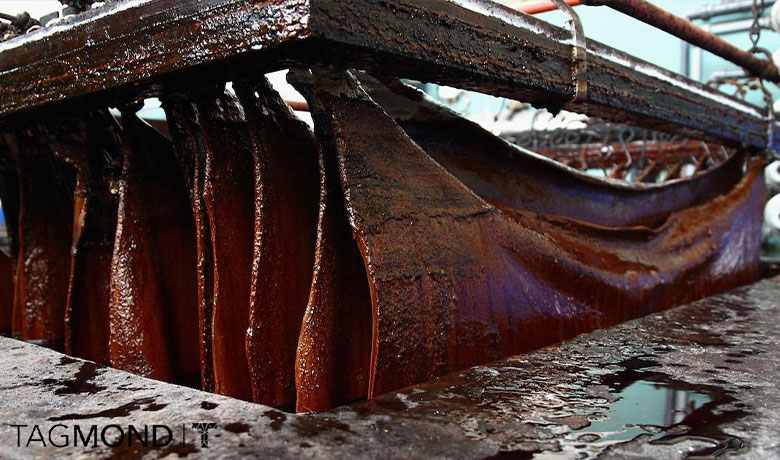 آیا استفاده از چرم غیر اخلاقی است؟