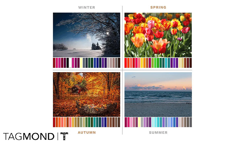 رنگ فصلی چیست