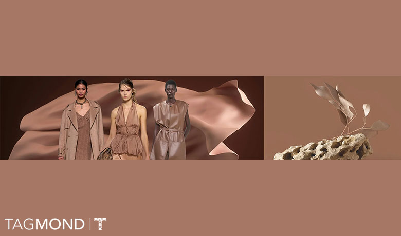 رنگ سال 2025 پنتون